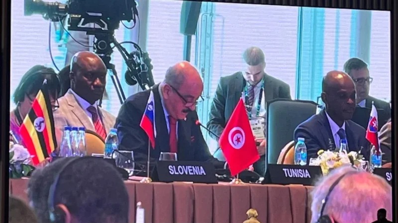 تونس تدعو لاعتماد مقاربة شاملة للهجرة خلال القمة الإفريقية الأوروبية