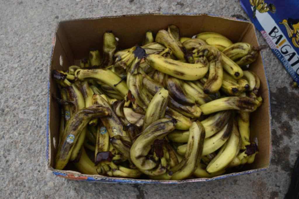 سوسة: حجز وإتلاف 646 كلغ من الموز غير الصالح للاستهلاك بسوق العرواة