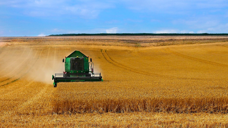 الدجبي: نصف مزارع الحبوب في باجة بحاجة فورية إلى مادة «الأمونيتر»