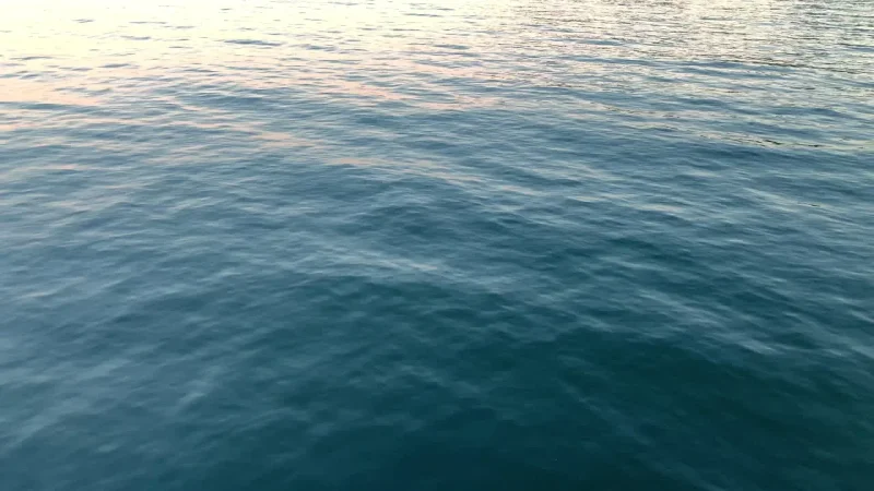 العثور على جثة أحد بحّارة رواد المفقودين على شاطئ سليمان