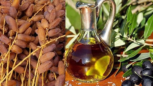 تونس ضمن أبرز مصدّري الزيت البيولوجي والتمور عالميا